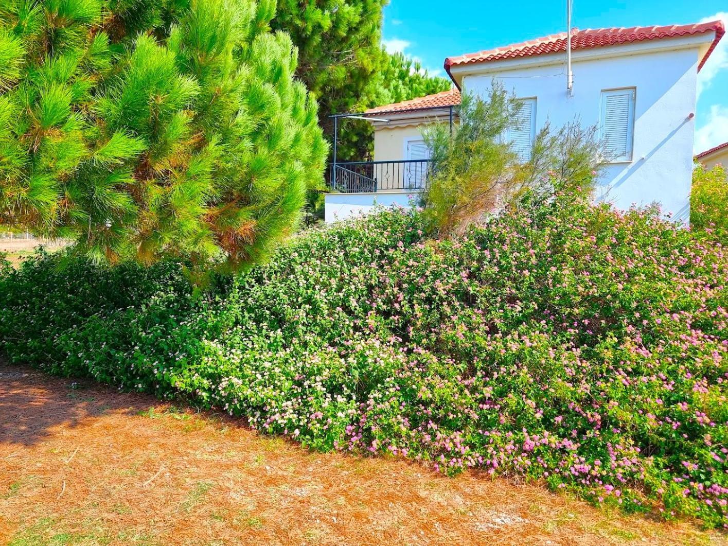 Romanos Beach Villas מראה חיצוני תמונה