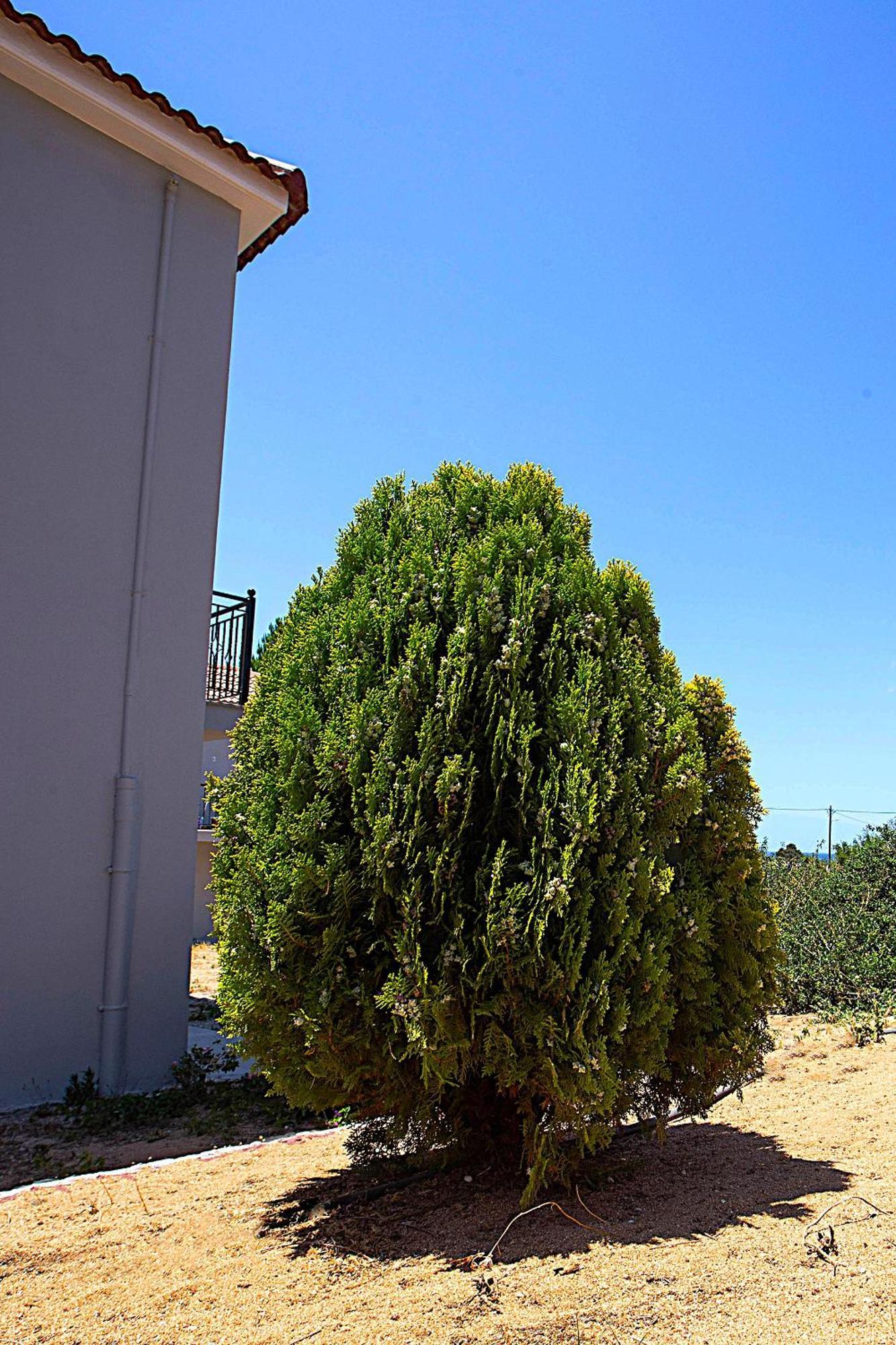 Romanos Beach Villas מראה חיצוני תמונה